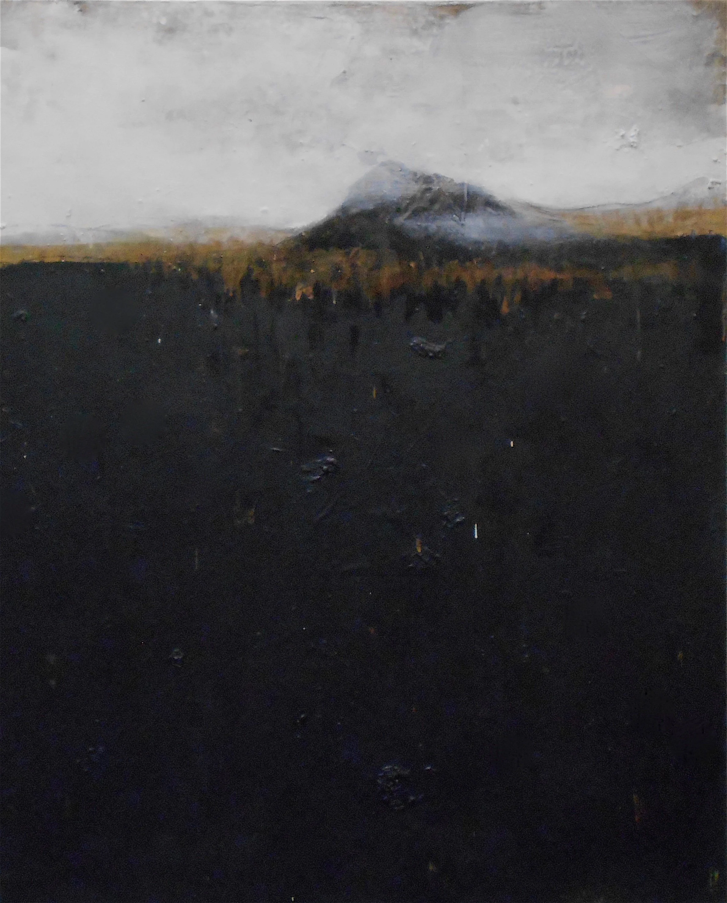 Tom Hall: Recent Landscapes — Greenhut Galleries